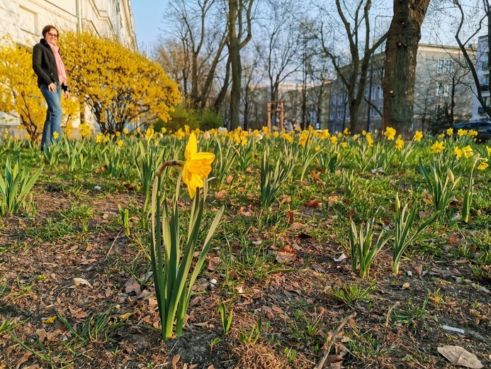 Warszawa zapachniała wiosną