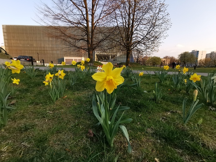 Warszawa zapachniała wiosną