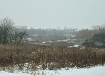 Co dalej z górkami czechowskimi?