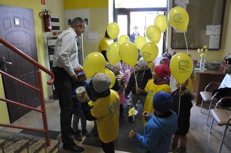 Żonkile w Męcince. Kwesta dla hospicjum