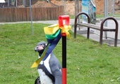 Pingwiny wrócą do śląskiego zoo