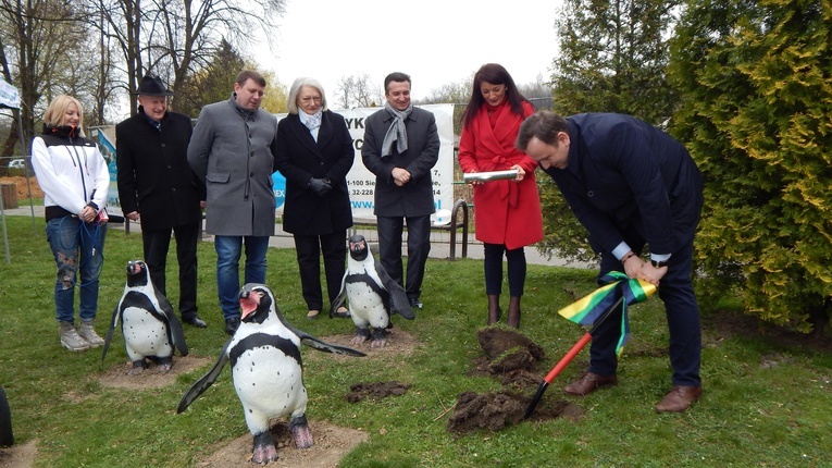 Pingwiny wrócą do śląskiego zoo