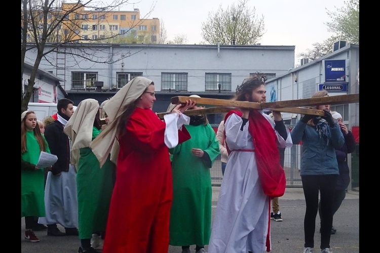 Droga Krzyżowa na Zgorzelisku