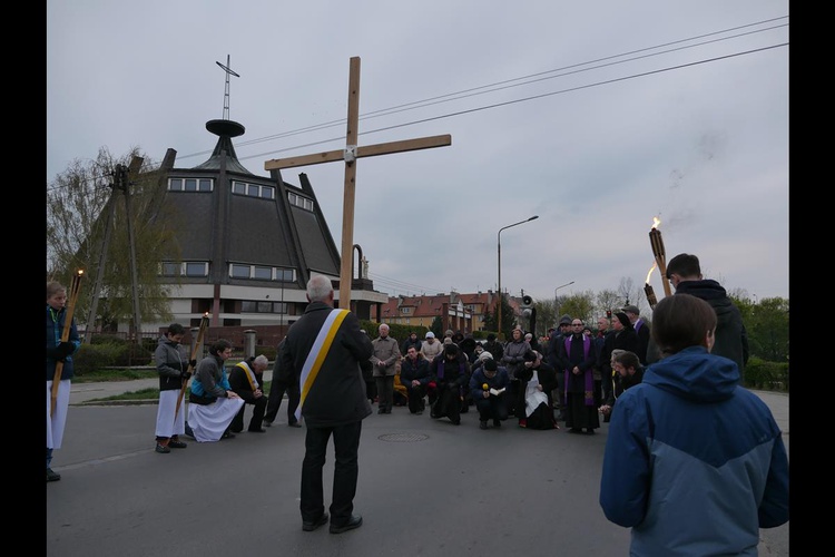 Droga Krzyżowa na Gaju