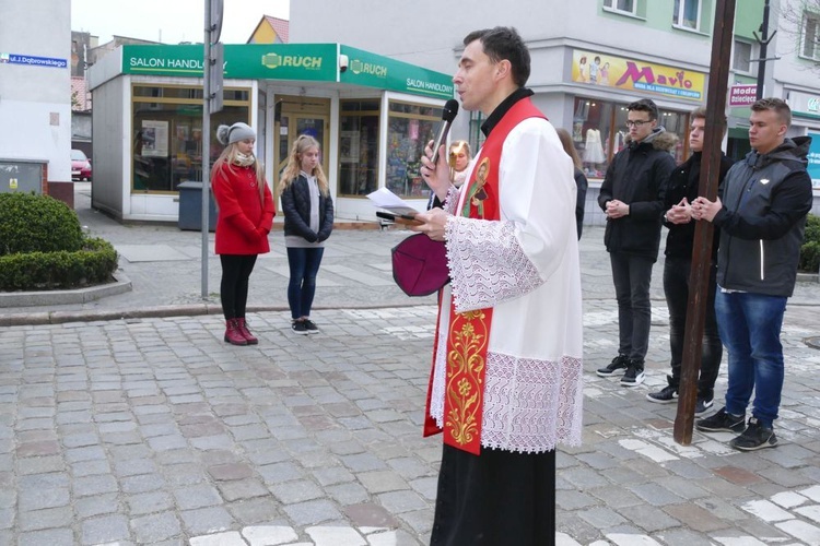 Droga Krzyżowa ulicami miast - Strzegom