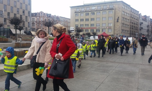 Pola Nadziei w Katowicach: hospicjum św. Franciszka zorganizowało żółty marsz 