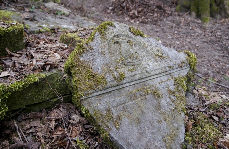 Sprzątanie żydowskiego cmentarza w Świdwinie