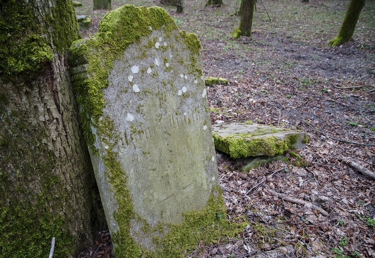 Sprzątanie żydowskiego cmentarza w Świdwinie