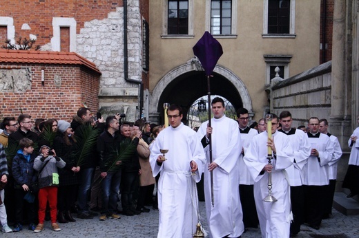 Niedziela Palmowa z udziałem młodzieży w Krakowie 2019