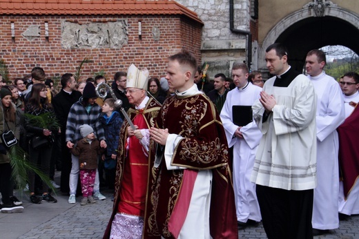 Niedziela Palmowa z udziałem młodzieży w Krakowie 2019