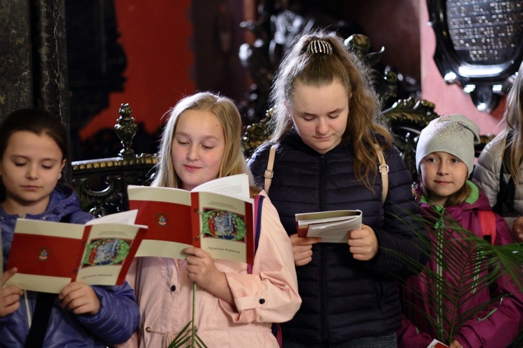 Niedziela Palmowa z udziałem młodzieży w Krakowie 2019