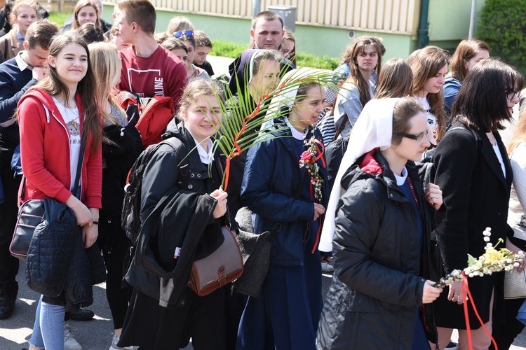 Tarnów. Niedziela Palmowa młodych. Procesja różańcowa