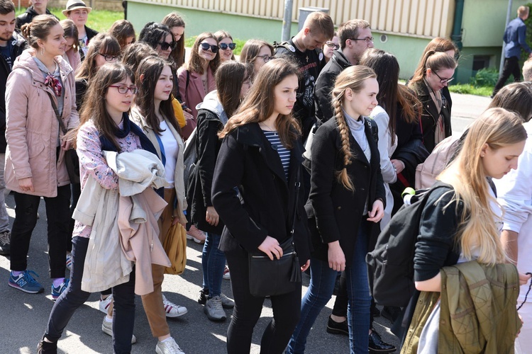 Tarnów. Niedziela Palmowa młodych. Procesja różańcowa