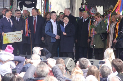 Lipnica Murowana. Rekordowa palma ma blisko 38 m