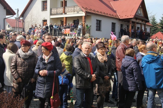 Lipnica Murowana. Rekordowa palma ma blisko 38 m