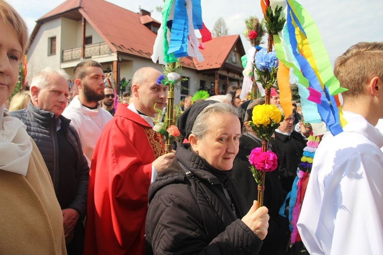 Lipnica Murowana. Rekordowa palma ma blisko 38 m