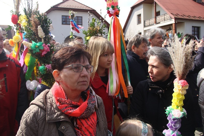 Lipnica Murowana. Rekordowa palma ma blisko 38 m