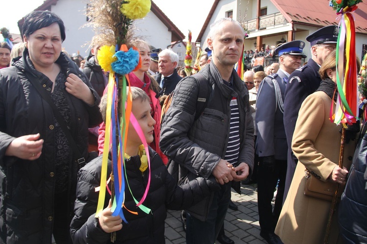 Lipnica Murowana. Rekordowa palma ma blisko 38 m