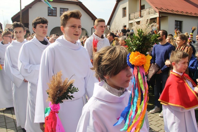 Lipnica Murowana. Rekordowa palma ma blisko 38 m