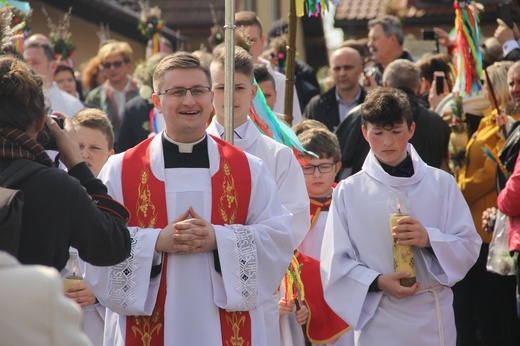 Lipnica Murowana. Rekordowa palma ma blisko 38 m