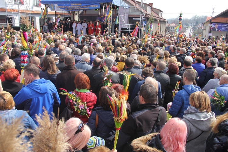 Lipnica Murowana. Rekordowa palma ma blisko 38 m