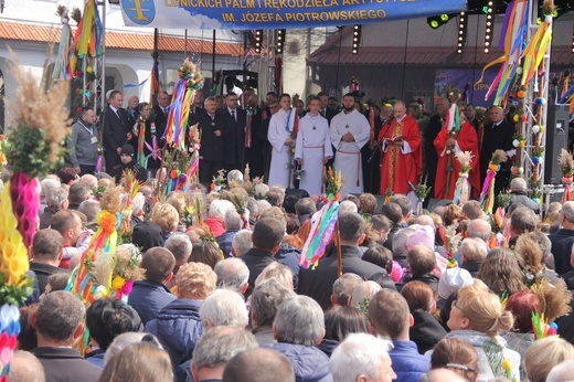 Lipnica Murowana. Rekordowa palma ma blisko 38 m