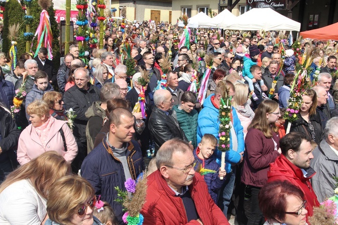 Lipnica Murowana. Rekordowa palma ma blisko 38 m