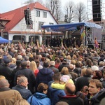 Lipnica Murowana. Rekordowa palma ma blisko 38 m