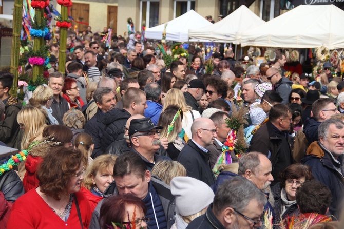 Lipnica Murowana. Rekordowa palma ma blisko 38 m