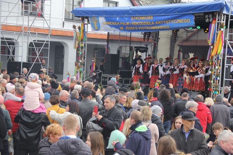 Lipnica Murowana. Rekordowa palma ma blisko 38 m