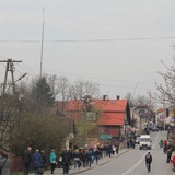 Lipnica Murowana. Rekordowa palma ma blisko 38 m