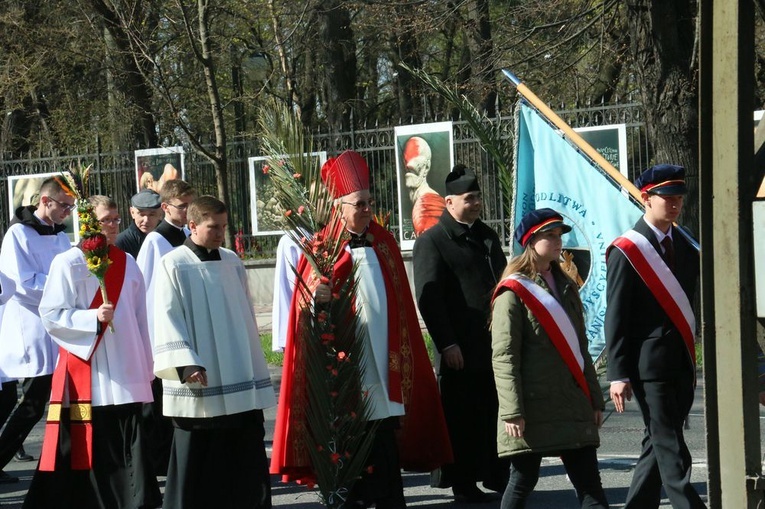 Procesja z palmami ulicami Lublina.