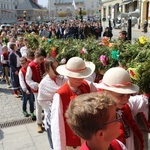 Niedziela Palmowa młodych w Bielsku-Białej 2019 - procesja do katedry