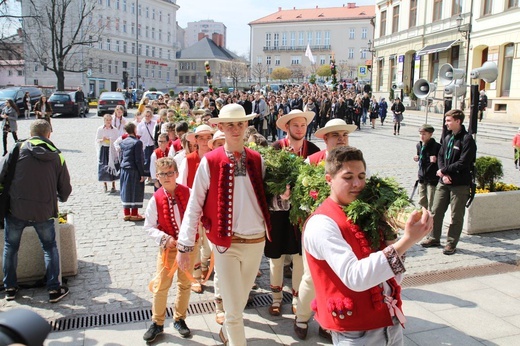 Niedziela Palmowa młodych w Bielsku-Białej 2019 - procesja do katedry