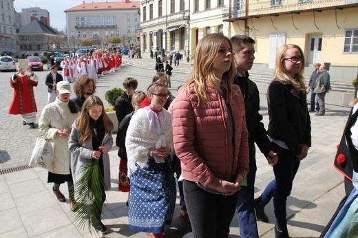 Niedziela Palmowa młodych w Bielsku-Białej 2019 - procesja do katedry