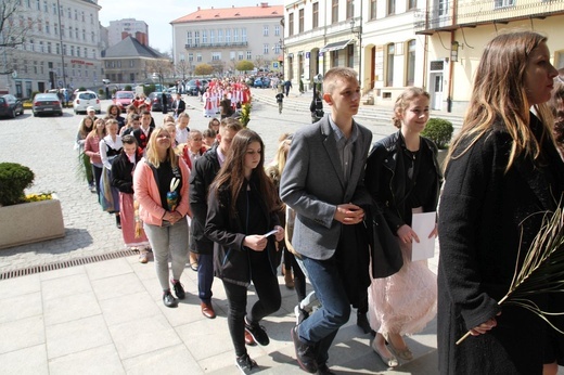 Niedziela Palmowa młodych w Bielsku-Białej 2019 - procesja do katedry