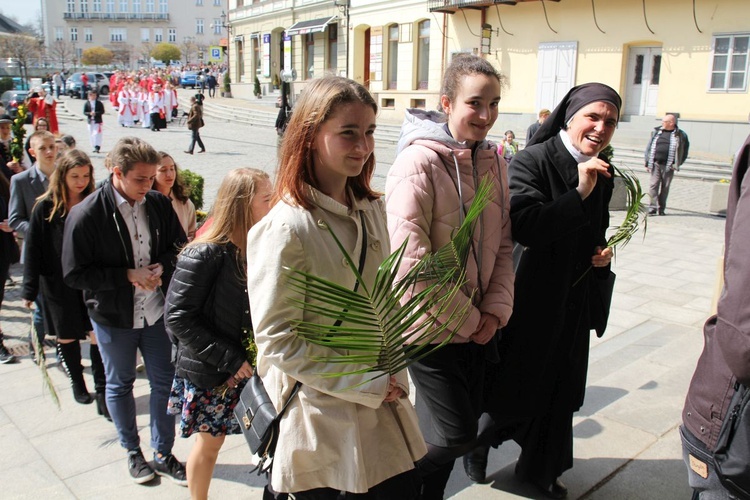 Niedziela Palmowa młodych w Bielsku-Białej 2019 - procesja do katedry