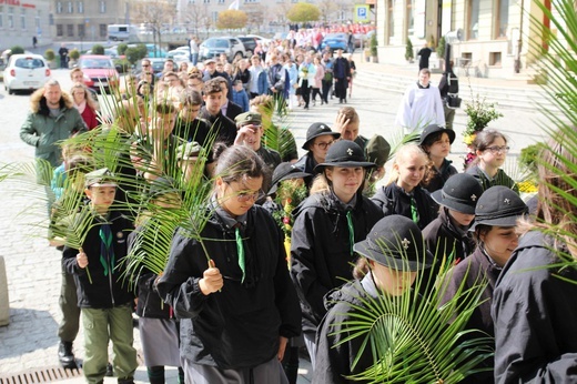 Niedziela Palmowa młodych w Bielsku-Białej 2019 - procesja do katedry