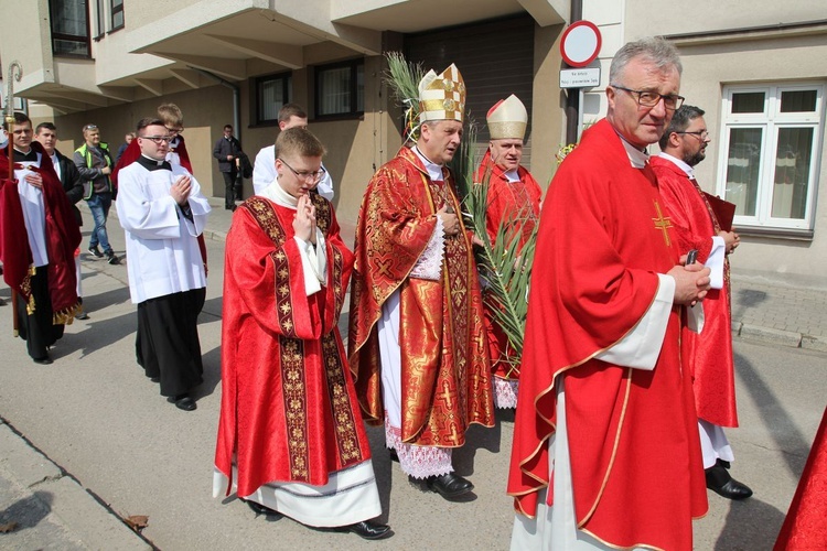 Niedziela Palmowa młodych w Bielsku-Białej 2019 - procesja do katedry