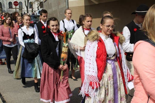 Niedziela Palmowa młodych w Bielsku-Białej 2019 - procesja do katedry