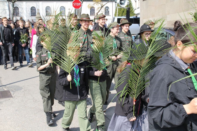 Niedziela Palmowa młodych w Bielsku-Białej 2019 - procesja do katedry