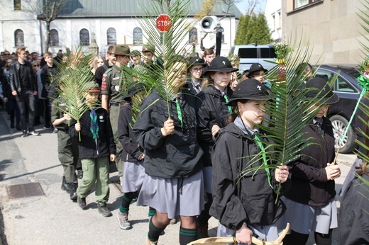 Niedziela Palmowa młodych w Bielsku-Białej 2019 - procesja do katedry