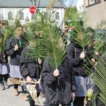 Niedziela Palmowa młodych w Bielsku-Białej 2019 - procesja do katedry