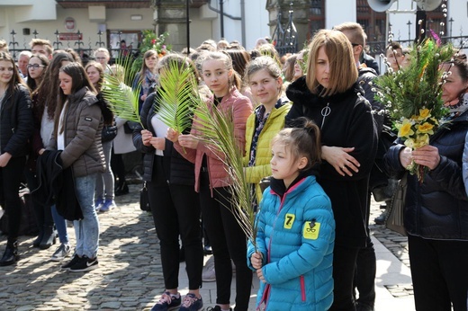 Niedziela Palmowa młodych w Bielsku-Białej 2019 - procesja do katedry