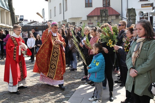 Niedziela Palmowa młodych w Bielsku-Białej 2019 - procesja do katedry