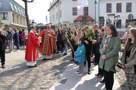 Niedziela Palmowa młodych w Bielsku-Białej 2019 - procesja do katedry