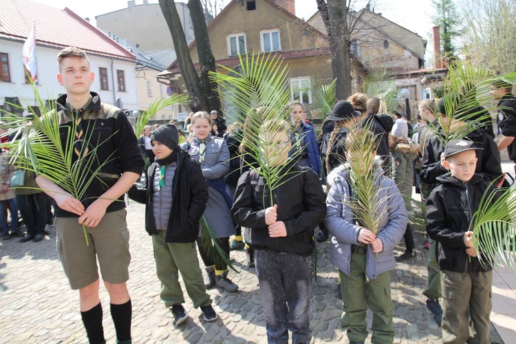 Niedziela Palmowa młodych w Bielsku-Białej 2019 - procesja do katedry