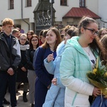 Niedziela Palmowa młodych w Bielsku-Białej 2019 - procesja do katedry