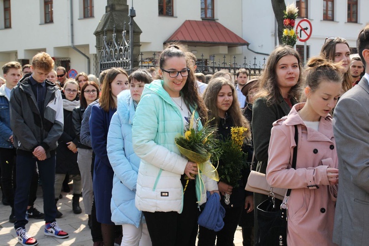 Niedziela Palmowa młodych w Bielsku-Białej 2019 - procesja do katedry