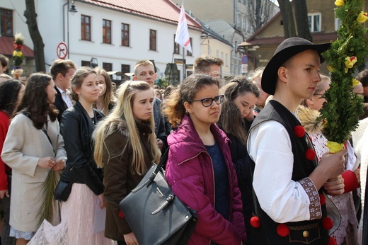 Niedziela Palmowa młodych w Bielsku-Białej 2019 - procesja do katedry